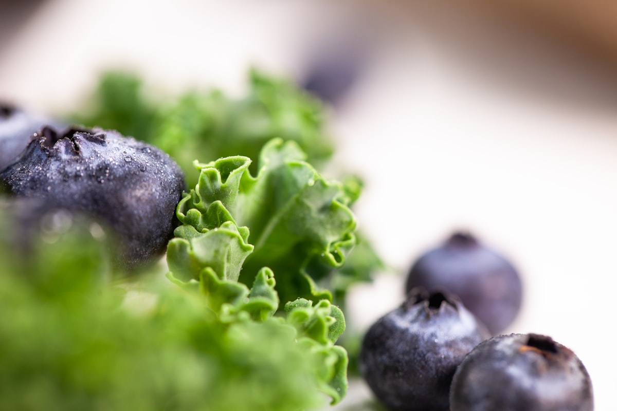 Foods to Limit: Understanding Pro-Inflammatory Choices